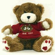 KJB C1250C24 TEDDY BEAR CAMERA COLOR 2.4GHZ Covert Video Equipment