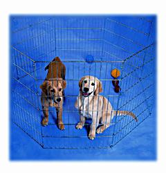 PRECISION SILVER EXERCISE PEN 48