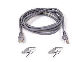 UPC 722868522813 product image for BELKIN COMPONENTS CAT5e PATCH CABLE A3L781-10 | upcitemdb.com