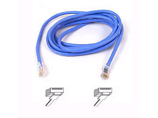 UPC 722868141670 product image for BELKIN COMPONENTS Lan Utp Cat 5 Patch Cable A3L791-08-BLU | upcitemdb.com