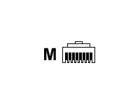 BELKIN COMPONENTS CAT6 Modular Connectors 100 R6G099LB100