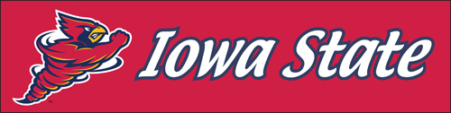 The Party Animal BIAS Iowa State Giant 8-Foot X 2-Foot Nylon Banner BIAS