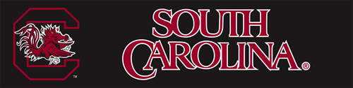 The Party Animal BSC S Carolina Giant 8-Foot X 2-Foot Nylon Banner BSC