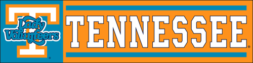 The Party Animal BLVO TN Lady Vols Giant 8-Foot X 2-Foot Nylon Banner BLVO