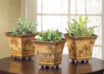 SAFARI POTS
