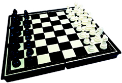 Chess Games Online - EDUCATIONAL INSIGHTS EI-2980 MAGNETIC CHESS GR 2 AND UP