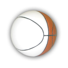 Signature Series Mini Basketball