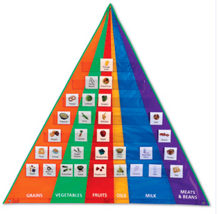 LEARNING RESOURCES LER2494 FOOD PYRAMID POCKET CHART WITH CARD s