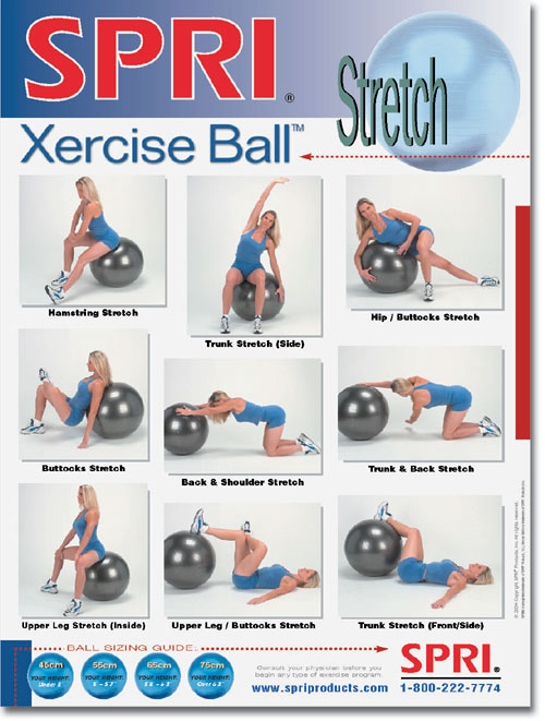 SPRI WC-XBS 18 Inch x 24 Inch Xercise Ball - Stretch Exercise Wall Chart