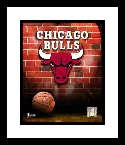Chicago Bulls Framed 8x10 Photo - Team Logo and Basketball