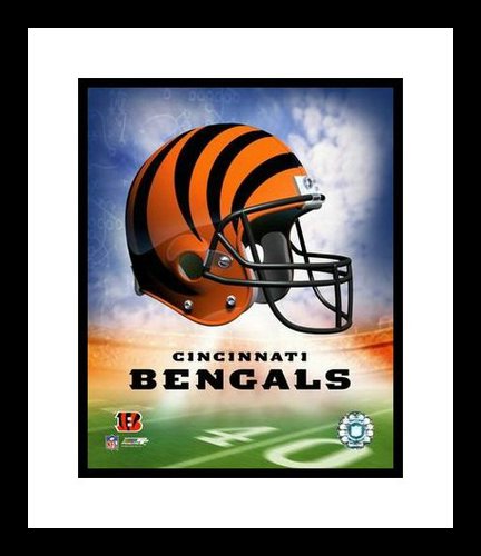 Cincinnati Bengals Framed 8x10 Photo - Team Logo and Helmet Collage