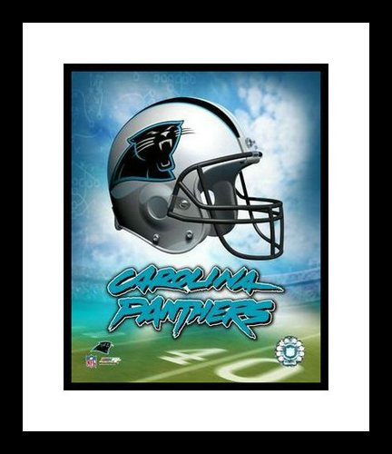 Carolina Panthers Framed 8x10 Photo - Team Logo and Helmet Collage