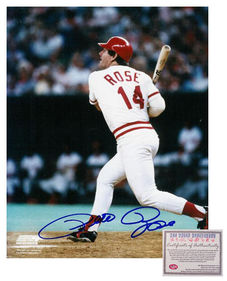 Pete Rose Hand Signed 8x10 Photo - Cincinnati Reds Swinging