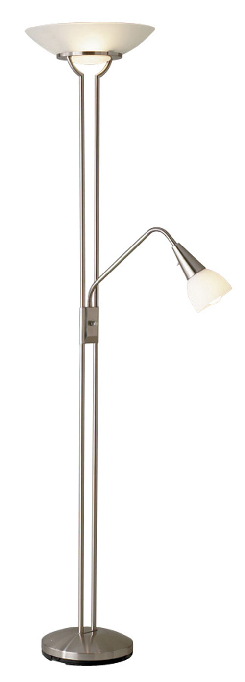 Adesso 5454 Cupola Combo Torchiere with Gooseneck Reading Light Steel 22