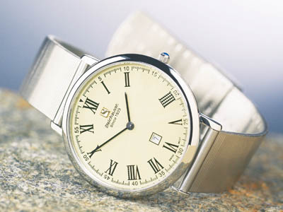 Steinhausen TW493S Dunn Horitzon Watch Silver Leatherband