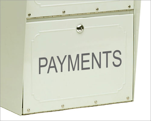 Architectural Mailboxes 5108LZ Coronado Bellevue Oasis Oasis Jr. Mailbox Custom Front Lettering (Light Bronze)