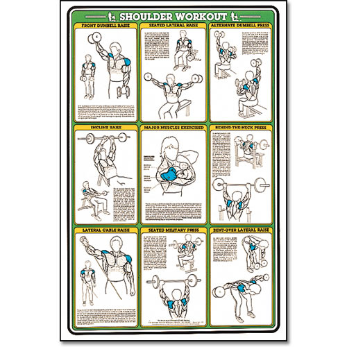 ALGRA MSCHRTSH Fitnus Chart -Shoulder Workout 23 Inch x35 Inch