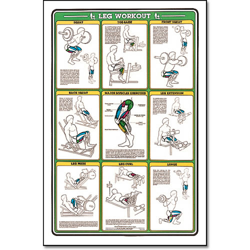 ALGRA MSCHRTLE Fitnus Chart -Leg Workout 23 Inch x35 Inch