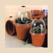 Haxnicks L751 4 Inch Bell Boy Plant Protectors - Set of 5 - no Vent