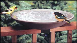 API 20 Inch Non Heated Bird Bath with Ez Tilt Deck Mount