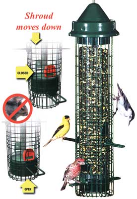 Brome Squirrel Buster Classic