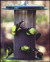 Bird Stuff Green Small Dome Thistle Feeder