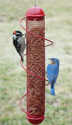 Bird Quest 17 Inch Copper Spiral Peanut Feeder