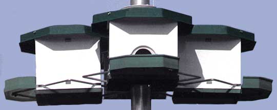 H-F Quad Pod Purple Martin Bird House