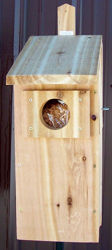 Sp6h Wood Screech Owl Box