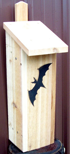 Stovall Wood Bachelor Dwelling Bat House