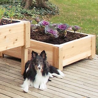 Cedar Creek 3612 Raised Garden