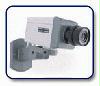 Imitation Security Camera with Motion Detector(Formerly CH01)