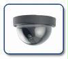 Dome Dummy Camera with Motion Activated Light