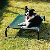 Pet Bed - Coolaroo 432966 Medium Foldable Steel Framed Pet Bed In Desert Sand