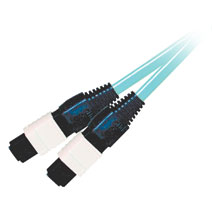 Cables To Go 31473 5m MTP 10Gb 50-125 PLENUM-RATED MULTIMODE FIBER ASSEMBLY RIBBON CABLE Cables To Go 31473 5m MTP 10Gb 50-125 PLENUM-RATED MULTIMODE FIBER ASSEMBLY RIBBON CABLE
