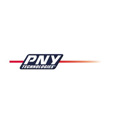 PNY Technologies 91004085T 0.5 Foot Cable LFH59 to 2VGA