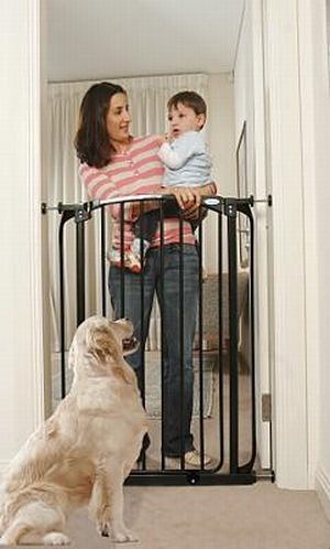 Click here to buy Dream Baby L782B Extra Tall Swing Closed Security... by DreamBaby.