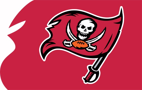 The Party Animal AFBF AFBF Bucs Battle Flag 44x28 Applique Banner
