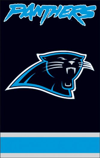 The Party Animal AFCP AFCP Panthers 44x28 Applique Banner