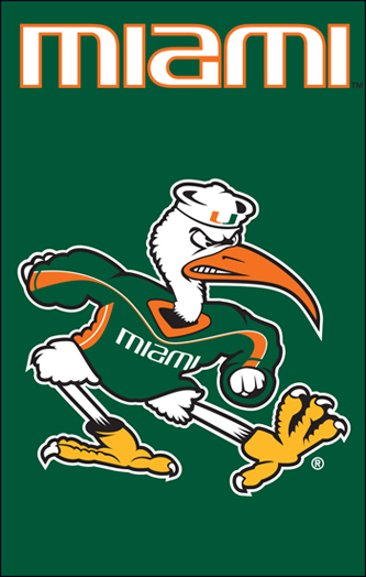 The Party Animal AFMIAB AFMIAB Miami with Ibis 44x28 Applique Banner