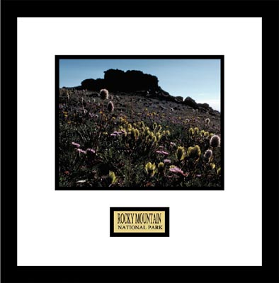 Pro Tour Memorabilia NP90A-9C1 Rocky Mountain National Park