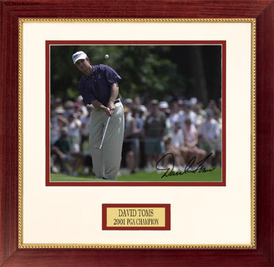 Pro Tour Memorabilia 9086B-86D David Toms - Classic Series