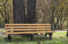 Tsb8 Trail 8ft Side Bench In Cedar- With Plastic Legs