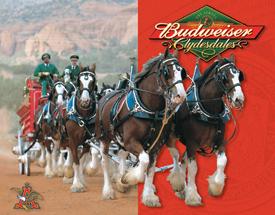Tin Sign - Budweiser - Clydesdales