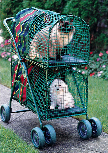 Kittywalk KWPS DD100 Double Decker Pet Stroller by Kittywalk