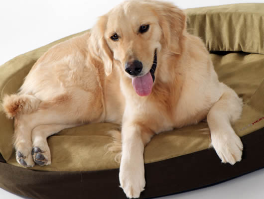 Pet Bed - Dolce Vita Pet 40306 TherabedTM Heated Pet Bed (Oval) - Small