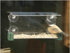Looker WFOD4-800 Open Diner Window Bird Feeder - 4 Pack