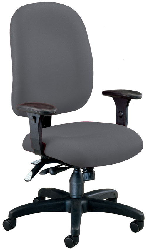 125-801 Ergonomic Executive-computer Task Chair - Gray