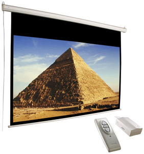 ACCUSCREEN 800001 100 Inch HDTV Electric Screen with Infrared Remote  Inline Control