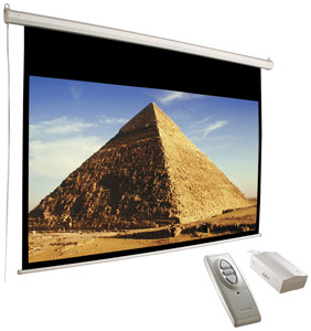 ACCUSCREEN 800007 119 Inch HDTV Electric Screen with Infrared Remote  Inline Control